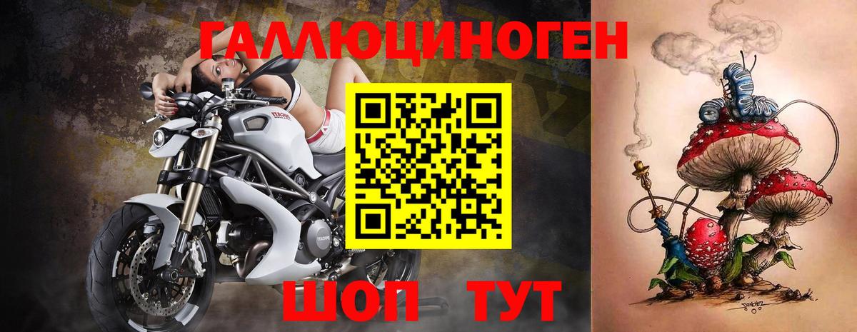 Псилоцибиновые грибы Psilocybe Бор