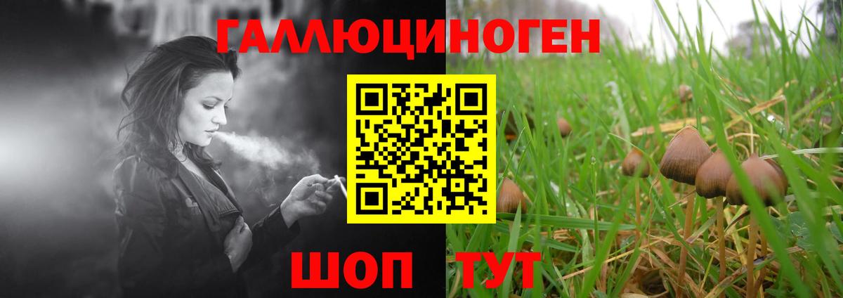 Псилоцибиновые грибы MAGIC MUSHROOMS  Вход с VPN  Бор 